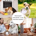 thumbnail image 4 of FPN Vegan Dog Treats for Immunity, 7 oz Grain-Free Biscuits with Blueberry, Chia & Pineapple, Superfood Chews for All Dog Breeds, 4 of 6