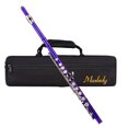 thumbnail image 4 of Dcenta Closed Hole C Flute 16 Keys Cupronickel Nickel-plated Wind Instrument with Carry Case Flute Stand Gloves Cleaning Cloth Mini Screwdriver Cleaning Rod, 4 of 7