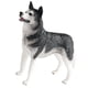 thumbnail image 5 of Figura de perro realista, estatua de perro Husky, decorativa, figuras de animales, juguetes de animales pequeños para niñas y niños, 5 of 9