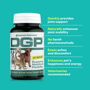 DGP for Pets All-Natural Joint Supplement for Dog Hip & Joint Support with Turmeric Boswellia Extract, Feverfew - Quick Mobility Support - 60 Chew Tabs for Pets