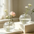 thumbnail image 6 of Hovilon Glass Pumpkin Vase for Flowers, Decorative Hydroponic Pumpkin Flower Vase in Clear Green Orange, Thick Glass Centerpiece for Fall Thanksgiving Halloween, Compact Tabletop Home Decor Gift, 6 of 6