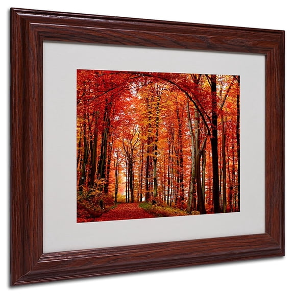 Trademark Fine Art "Poppies" Framed Matted Art