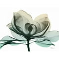 thumbnail image 2 of Koetsier, Albert 24x19 Black Ornate Wood Framed with Double Matting Museum Art Print Titled - Emerald Magnolia 2, 2 of 4