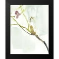 thumbnail image 2 of Goldberger, Jennifer 12x14 Black Modern Framed Museum Art Print Titled - First Blooms VI, 2 of 5