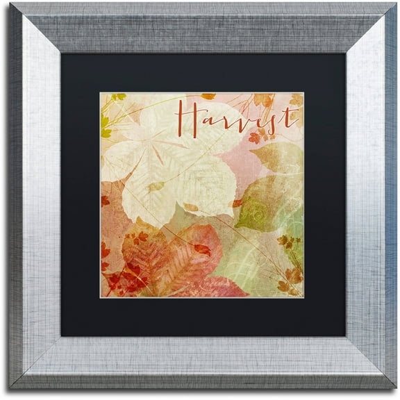 Trademark Fine Art "October Pastel II" Canvas Art by Color Bakery Black Matte, Silver Frame