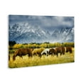 thumbnail image 4 of Stupell Industries Horses in Wilderness Landscape Painting Gallery Wrapped Canvas Art Print Wall Art, 45 x 30, 4 of 8