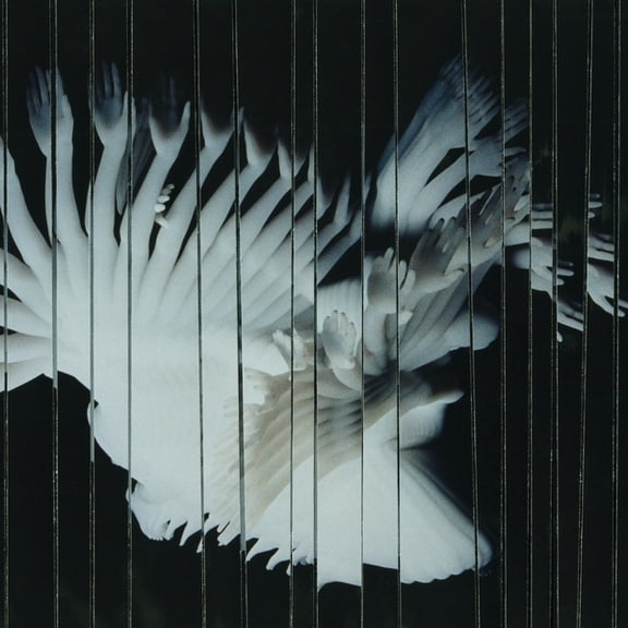 Scaler - Endlessly - Music & Performance - Vinyl