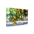 thumbnail image 2 of Trademark Fine Art 'Citrus Oranges' Canvas Art by Incredi, 2 of 3