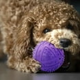 small dog toys for small breed outdoor dog toys for large dogs for
