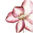thumbnail image 2 of Pinto, Patricia 12x12 White Modern Wood Framed Museum Art Print Titled - Rouge Plum Flowers I, 2 of 4
