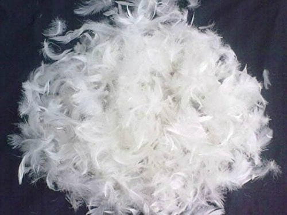 East Coast Bedding Goose Down Feather Stuffing & Fill - Bulk 10lb Bag - 10/90 Natural Grey Down Mix Real Feather Mix for Filling Repair Restuffing