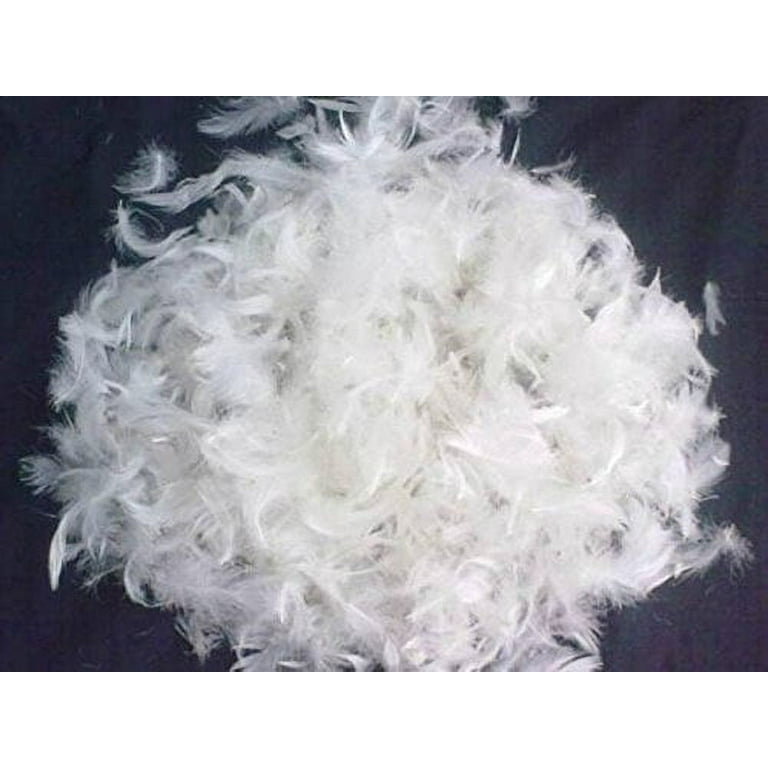 Dream Solutions USA Brand Bulk Goose Down Pillow Stuffing Filling Feathers 10 90 White 6 LB Fill Stuffing Comforters Pillows Jackets and More Ultra Plush Hungarian Softness Walmart