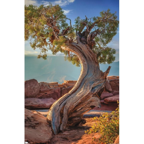 Beth Sheridan - Dead Horse Point Wall Poster, 22.375" x 34"