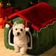 thumbnail image 5 of hengsof Christmas Cat Bed for Indoor Cats Plaid Christmas Cat Tent Cat Bed Cave for Pets Cats and Dogs Winter Warm Cats Bed, 5 of 6