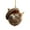A, variant on 1 Pc 2D Flat Acrylic Woodland Squirrel Christmas Ornament, 3.14" Sleeping Animal in Acorn Shell Tree Hanging Decoration, Shatterproof Holiday Decor