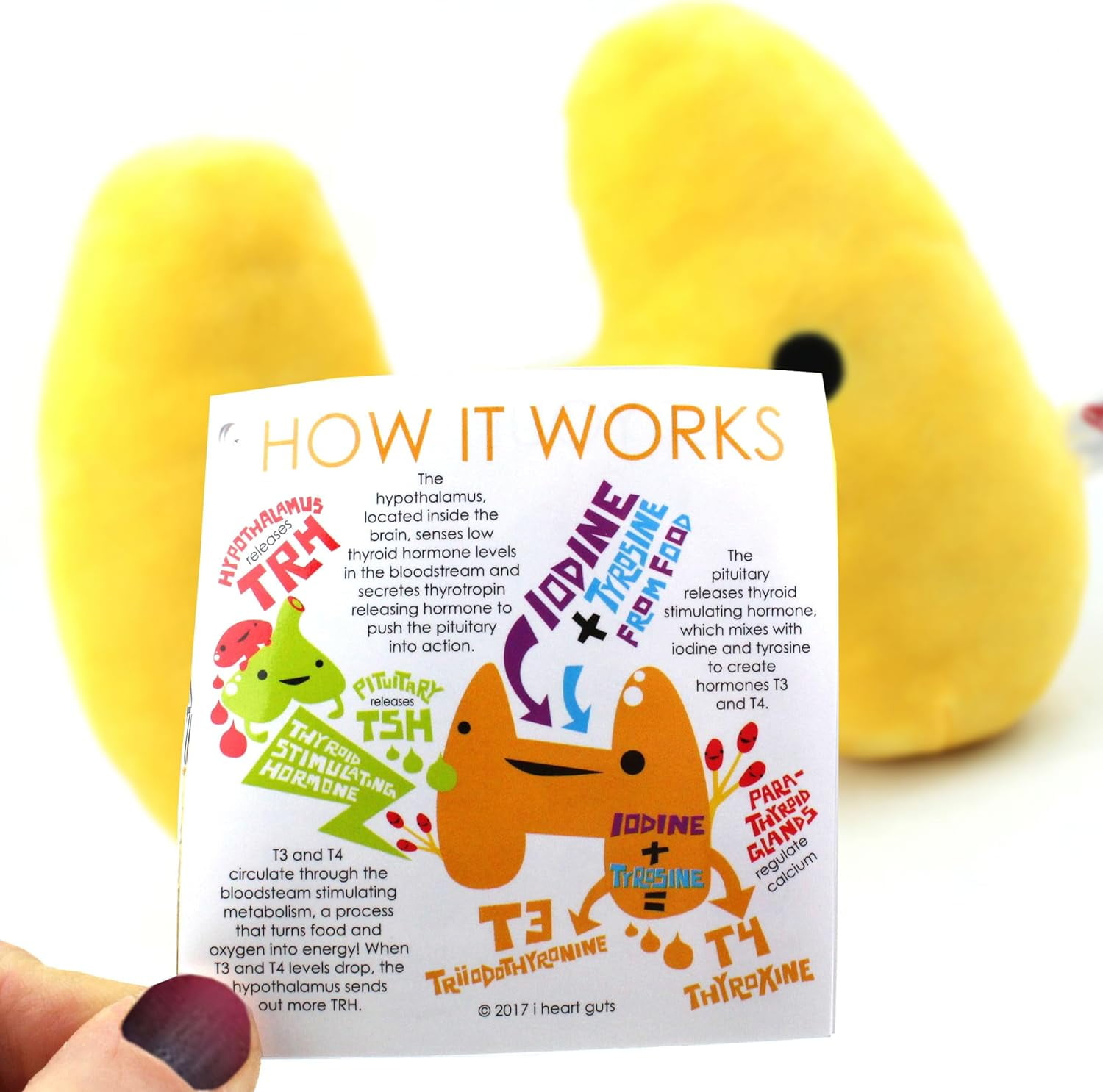 I Heart Guts Thyroid Plush Burn Thyroid Burn 11 Thyroid Support Stuffed Toy for Thyroidectomy Surgery Gift Thyroid Cancer Plush Pillow