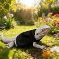 thumbnail image 3 of Ropa para reptiles, suéter ajustable con cordón, chaleco para reptiles pequeños, dragones barbudos, geckos y lagartos., 3 of 8
