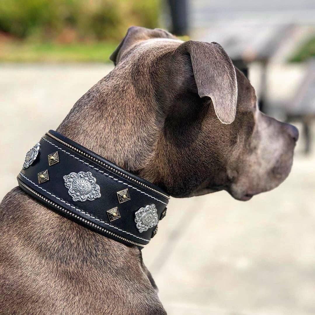 The Bestia "Aztec" Black Leather Dog Collar for Large Dog Breeds