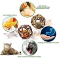 thumbnail image 3 of Pelotas de juguete interactivas con hierba gatera (paquete de 2) para la diversión felina y la salud dental, 3 of 5