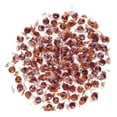 thumbnail image 2 of Atomic Fireballs 5LB Bag, 2 of 2