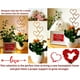thumbnail image 5 of Cinta de lentejuelas 13x70.86 pulgadas, corredor de brillantes, tela brillante, para fiestas, cumpleaños, decoración de bodas, fiestas de verano, fiestas de niñas, decoración de eventos,, 5 of 7