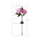 thumbnail image 3 of Luces de Flor de Peonía Solares para Jardín Exterior | Iluminación Paisajística Decorativa LED Impermeable | Flores Artificiales de Plástico para Patio, Jardín y Senderos | Altura 68cm | Varios, 3 of 6