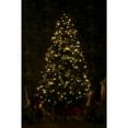 thumbnail image 6 of Hi-Line Gift Ltd. Multi-Function Timed String Lights - 100 RGB LEDs with Remote, 6 of 8