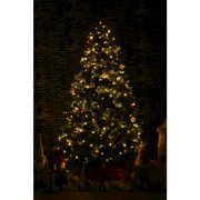 Hi-Line Gift Ltd. Multi-Function Timed String Lights - 100 RGB LEDs with Remote