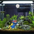thumbnail image 5 of Xioeram Floating Fish Tank Decorations| Cute Little Diver, Surfer boy, Whale-Riding Girl for Aquarium Decorations、Desktop Ornaments、Car Decorating| Fish Tank Accessories Decorations, 5 of 8