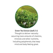 Botanic Choice Green Tea Extract Liquid, Gluten Free Herbal Supplements - 1 Fl. Oz
