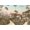 Unframed, variant on Art.com The Carolina, Pinehurst, North Carolina Stretched Canvas Print Wall Art, 36" x 24"