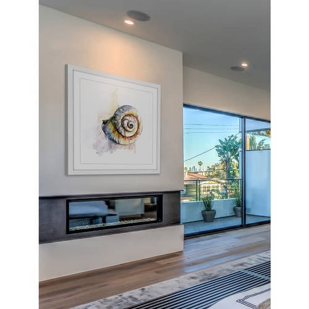 "Snail Shell" by Rachel Byler Framed Painting Print