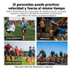 thumbnail image 2 of Kit De Entrenamiento De Fútbol +escalera De Agilidad+ Platos 49 pz, 2 of 5