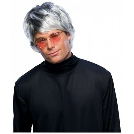 Grey Pop Star Wig Adult Costume Accessory