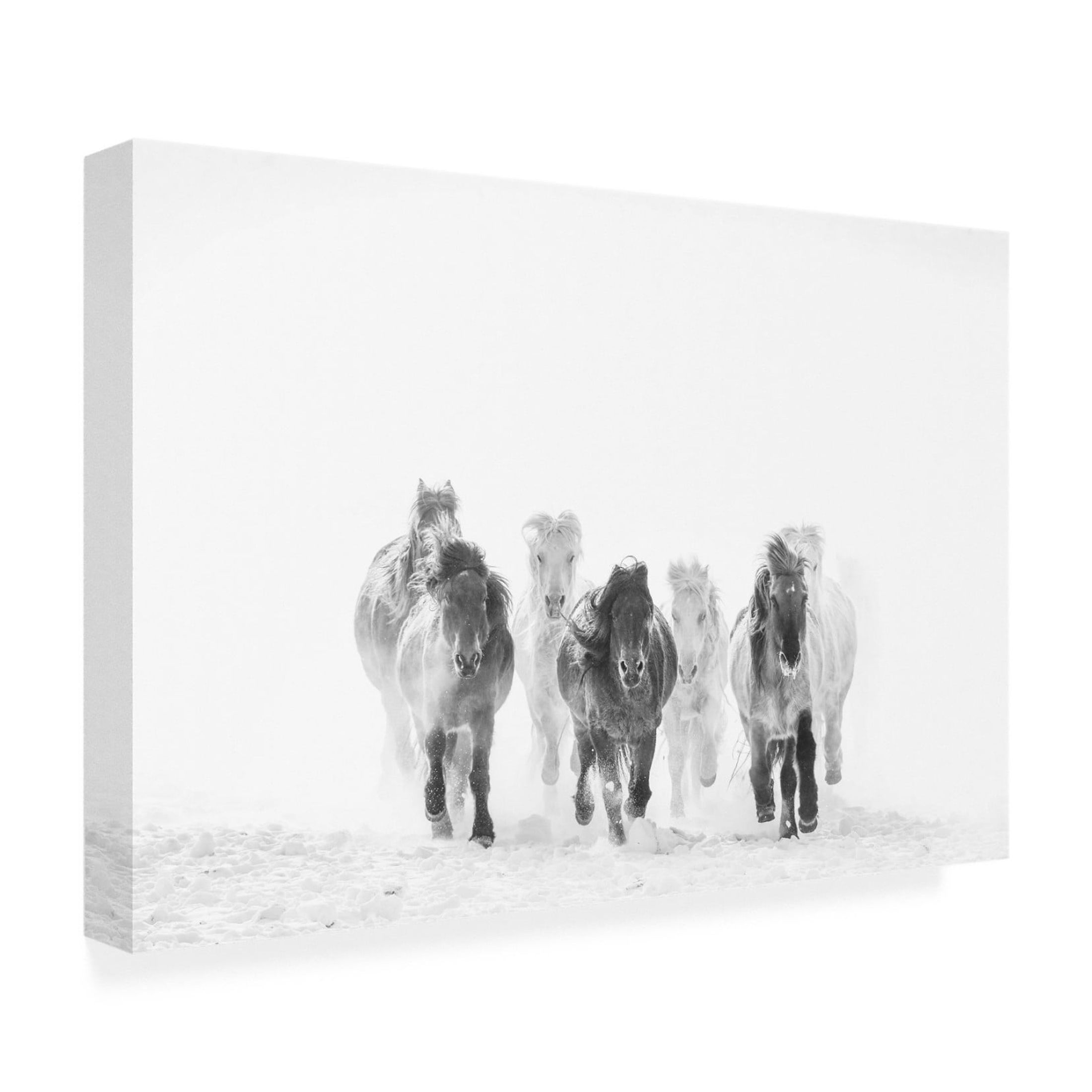 Canvas Wall Art - Bingo Z 'Running In The Snow' Wall Art for Living Room, Bedroom, or Office Décor by Trademark Fine Art - 32 x 22 Inches