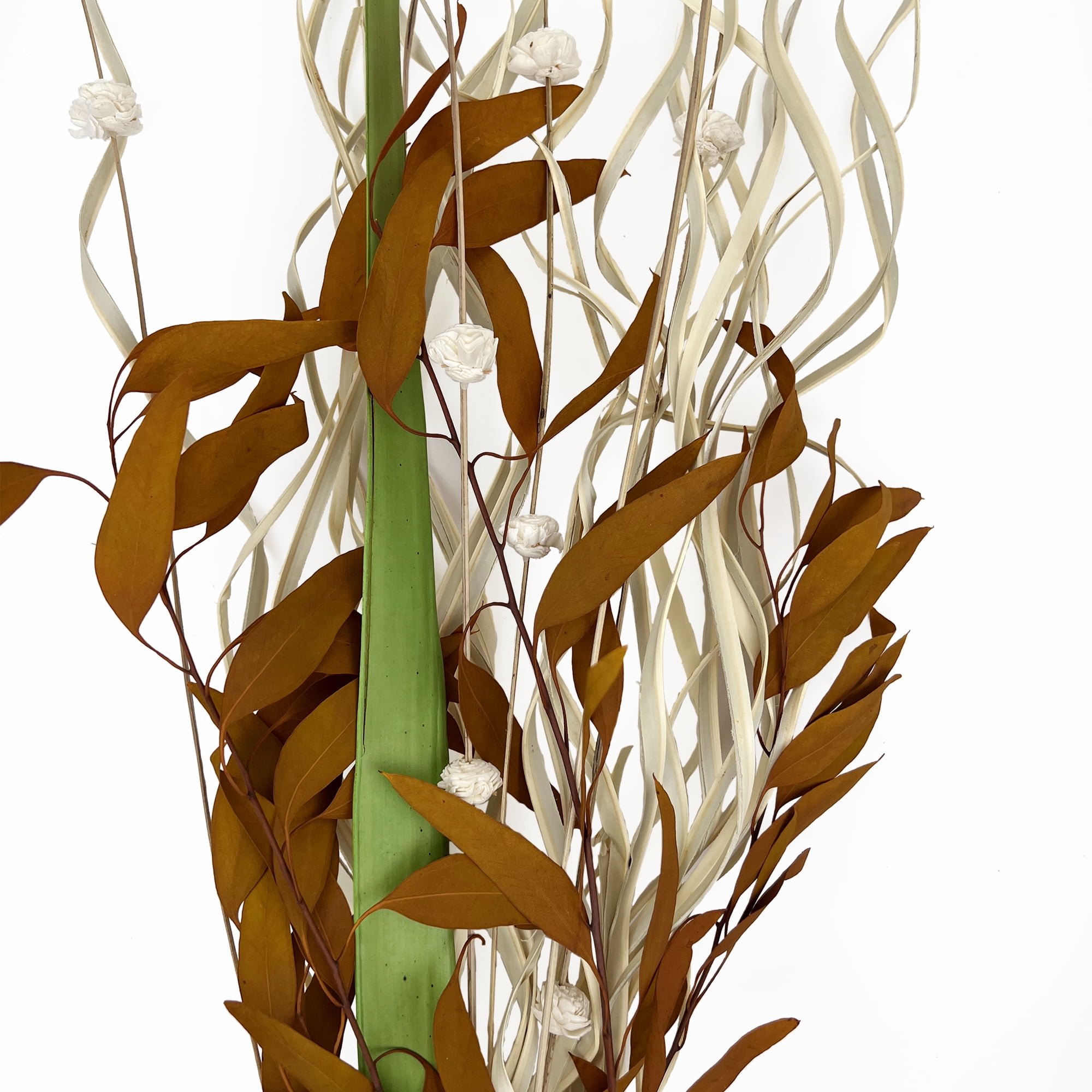 Dried Cosmos Natural Bouquet