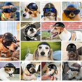 thumbnail image 5 of Casco para mascotas, gorra de seguridad para perros, gorra para casco de bicicleta para gatos, casco universal de plástico ajustable para motocicleta para perros pequeños, gatos (negro, M), 5 of 5