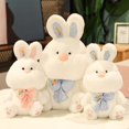thumbnail image 2 of Recién llegado, conejo Kawaii de 35/50/60cm, juguete de peluche para niños, almohada cómoda, regalo de cumpleaños para niñas zhangyuxiang LED, 2 of 2