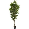 thumbnail image 1 of Nearly Natural 9167 81 in. Fig Artificial Tree, 1 of 1