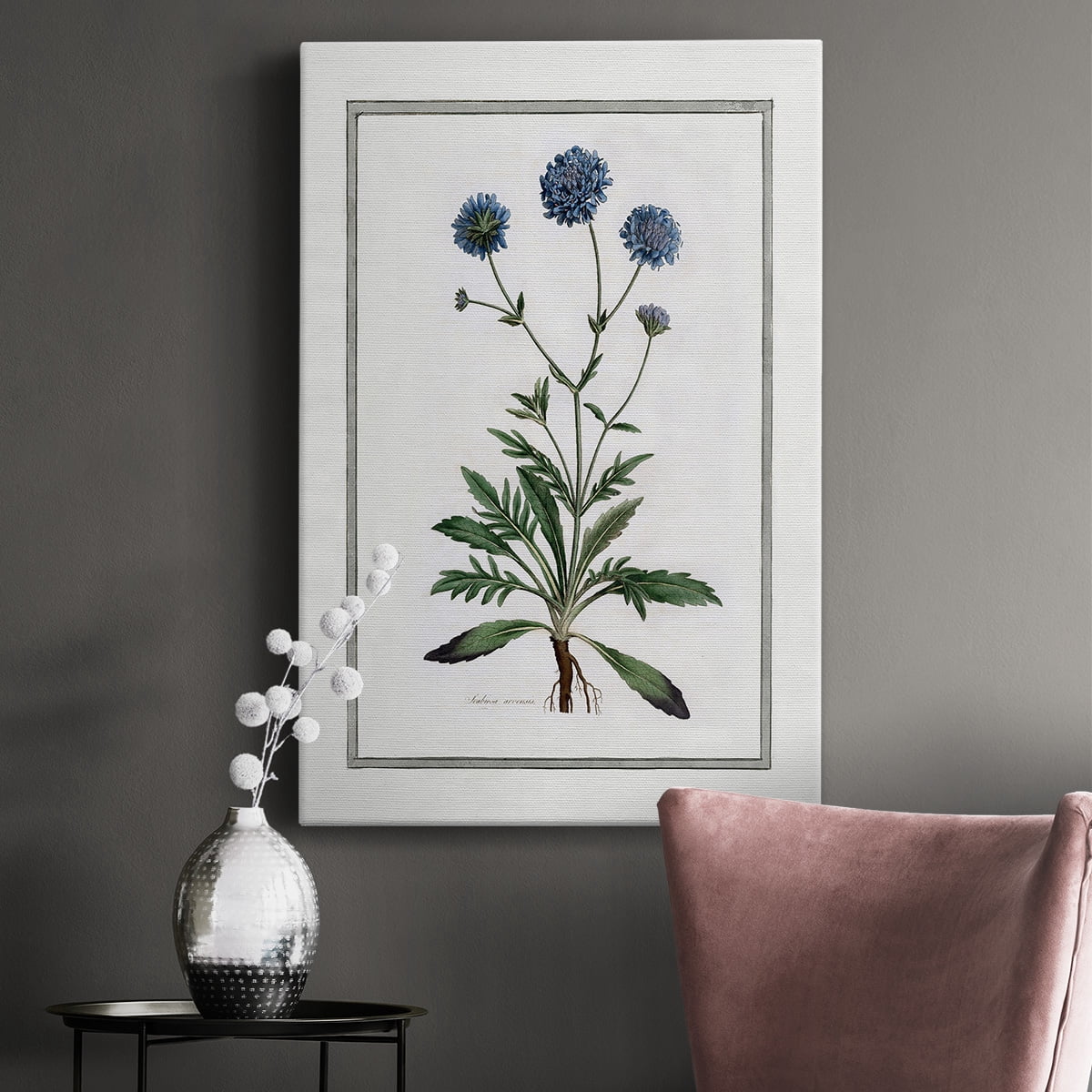 Soft Botanical II Premium Gallery Wrapped Canvas - Ready to Hang
