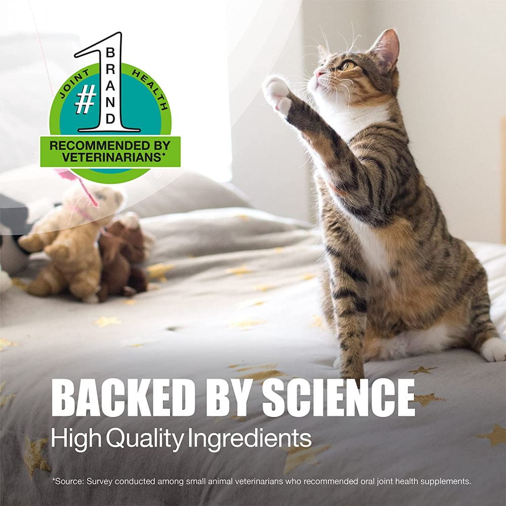 Dasuquin Premium Joint Health Supplement for Cats 84ct Capsules Walmart