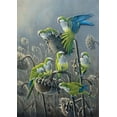 thumbnail image 2 of Goebel, Wilhelm 18x24 Gold Ornate Wood Framed with Double Matting Museum Art Print Titled - Parakeet Treat, 2 of 4