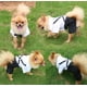 thumbnail image 5 of Perro gato guapo caballero falso traje de dos piezas camisa foto boda blanco talla L, 5 of 5