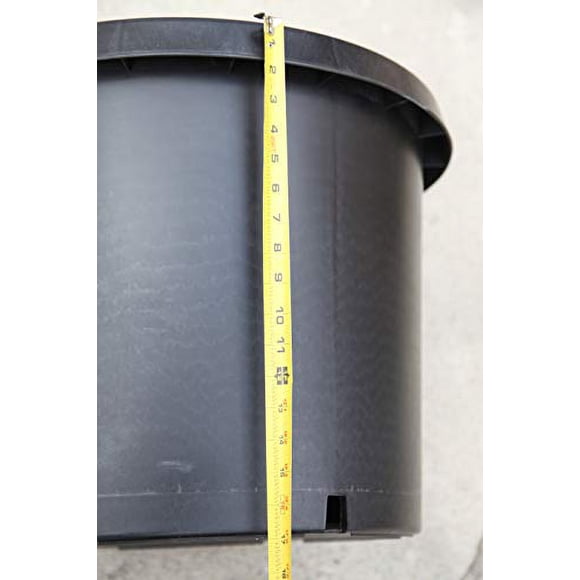 20 Gallon Pots Plants