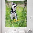 thumbnail image 1 of Alaskan Malamute Tapestry, Little Puppy Playing on Green Grass Spring Meadow Natural Life Outdoors, Fabric Wall Hanging Decor for Bedroom Living Room Dorm, 5 Sizes, Multicolor, by Ambesonne, 1 of 1