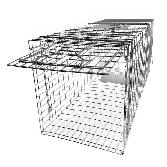 36in Collapsible Single-Door Animal Trap