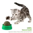 thumbnail image 3 of Cat Ball Catnip Toys Lamiendo los dientes Masticando Pet Training Bite Balls Green Hugtrwg Para estrenar, 3 of 6