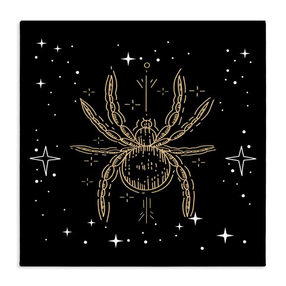 Stupell Industries Bohemian Starry Halloween Spider Insect Canvas Art, 17 x 17, by Lil' Rue