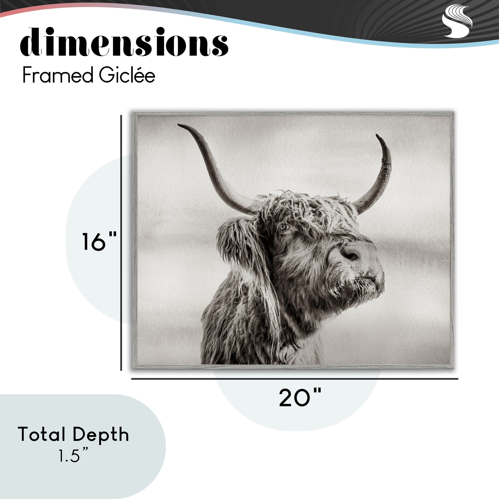Stupell Industries Horned Highland Cow Gazing Gray Framed Giclee Art, design by Julia Frost