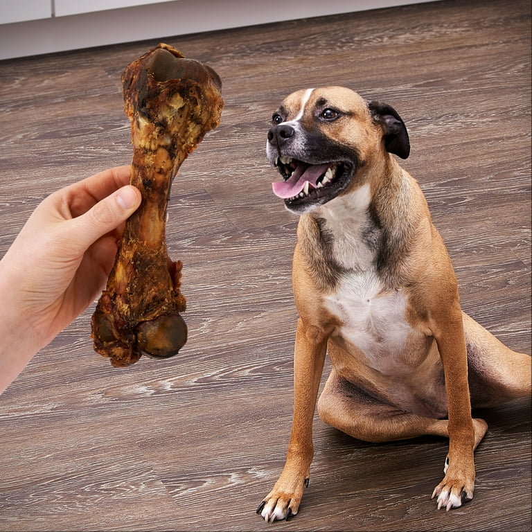 Are pork bones okay for cheap dogs to eat